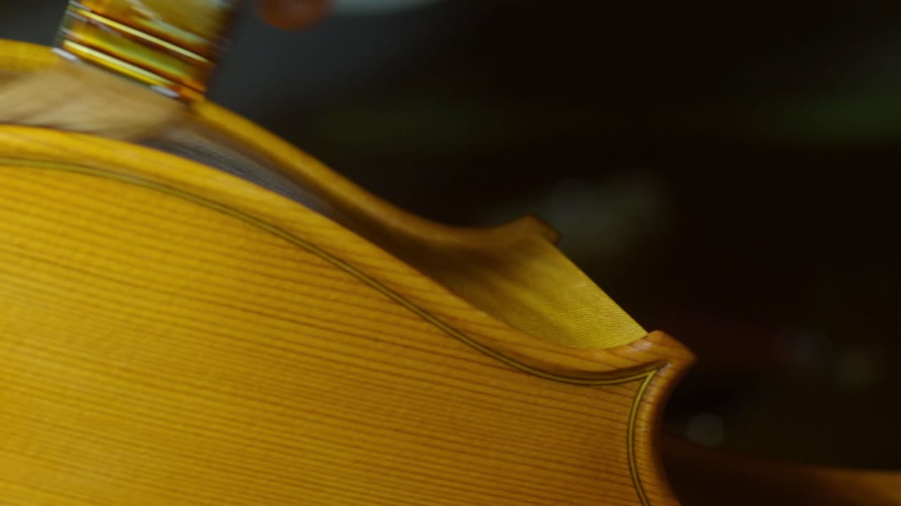 Close-up of cello ribs and top edge as a craftsman applies a traditional blend of linseed oil, mastic, and lac, enhancing the fine grain and warm tone in the workshop’ in Cremona Italy