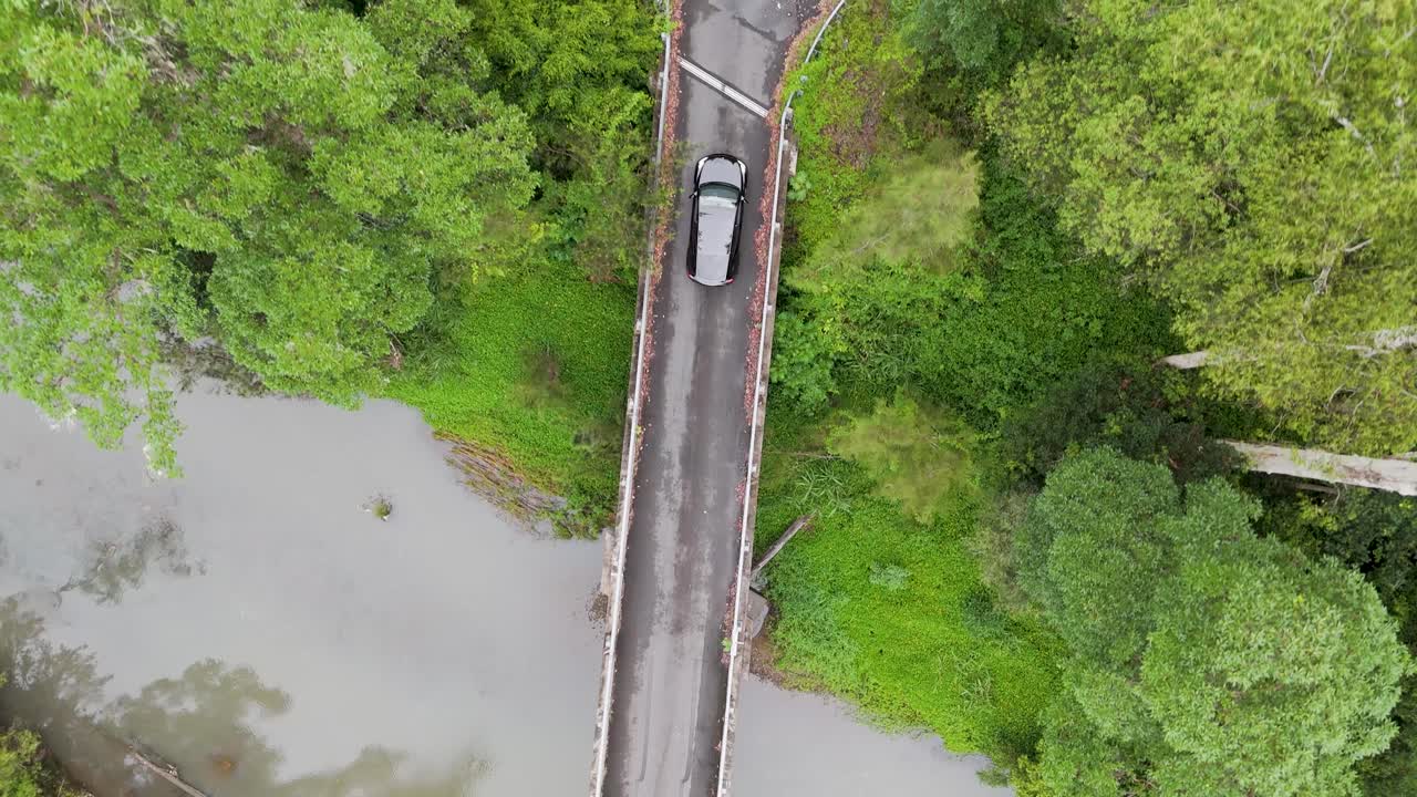 한 자동차가 숲의 다리를 지나간다.