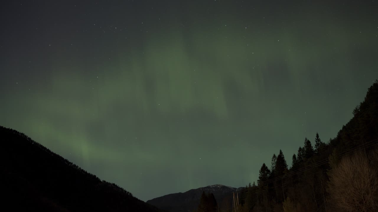Mountain and trees silhouetted against northern lights dancing in night sky on clear evening in Norway.