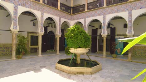 fountain with a green plant in the middle of the dey palace in algiers