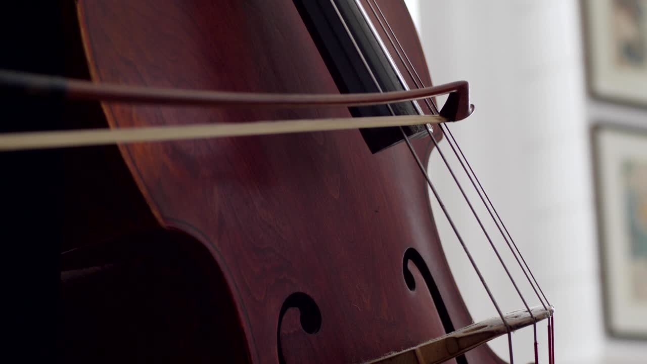 macro detail of musical instrument, cellist plays on strings with through a bow