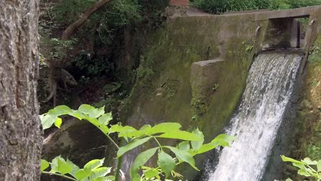 Friedlicher-Wald-Wald-Spritzender-Wasserfall-Zeitlupe-Fließendes-Paradies-Wildnis-Rechts-Nach-Unten-Schwenken