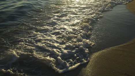 olas en la playa al atardecer