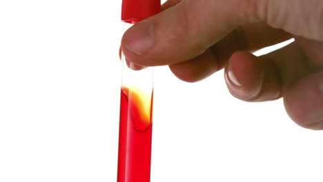 hand swirling test tube of blood