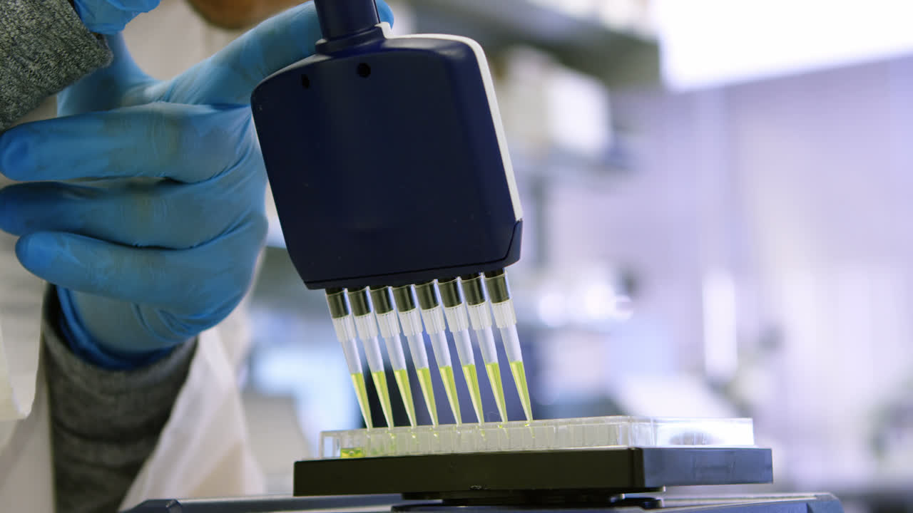 Scientist using multi channel pipette 4k