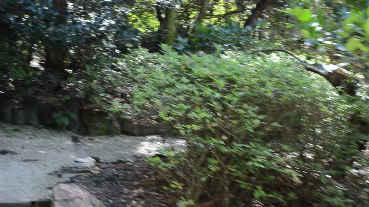 Scatto. La natura in un giardino.