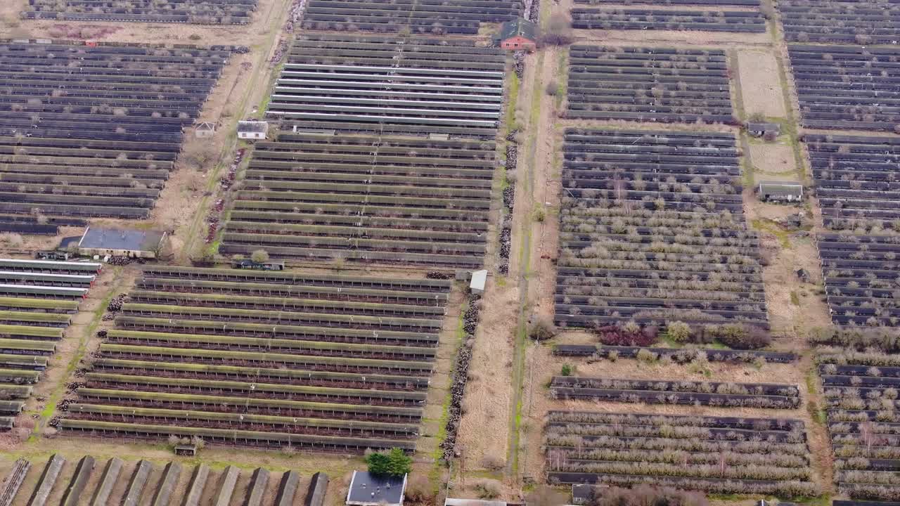 Aerial view of empty mink cages and overgrown farm plots in western Latvia