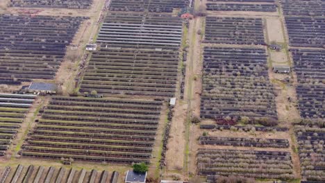 aerial view of empty mink cages and overgrown farm plots in western latvia