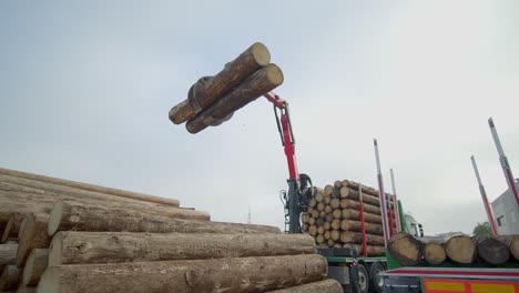 Machine-Lifting-Two-Tree-Trunks-Stocking-In-Pile-One-Over-Each-Other