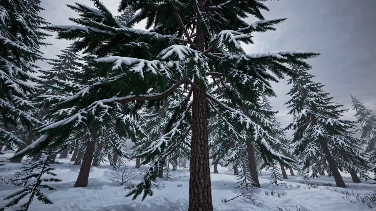 A serene winter forest scene with snow-covered trees. Low-angle shot captures towering pines. Ideal