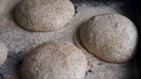 slow mo pan of sourdough bread dough resting before ready to be formed into home made pizza's