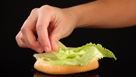 a hand carefully arranges crisp iceberg lettuce onto a bottom burger bun against a black background, with even studio lighting and steady camera framing