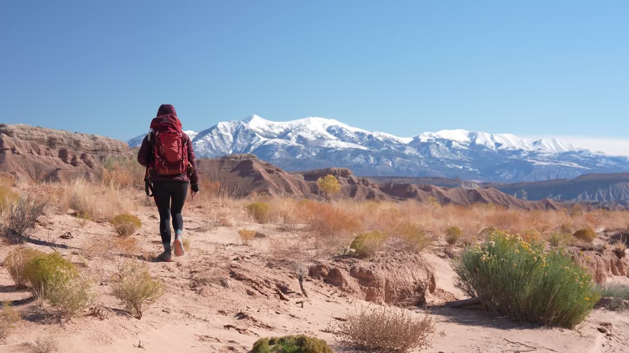 Back View of Woman Hiking in Wilderness, Desert Landscape With SNow Capped Mountain in Background