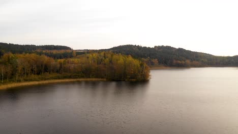 Aerial-view-of-autumn-coloured-forest