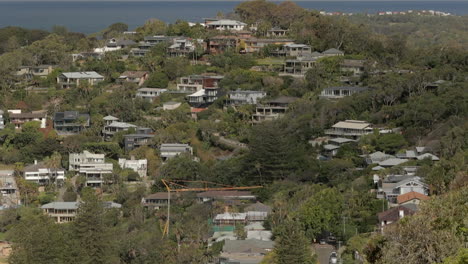 Houses-nestled-in-between-trees-on-a-hill,-static