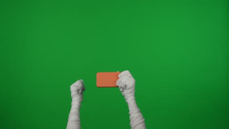 mummy hands holding and interacting with a smartphone on green screen