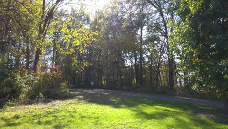 person walking and exercising on a pathway at a park in the woods