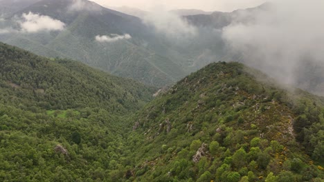 Imágenes-Tomadas-Con-Un-Dron-De-Un-Bosque-Verde-Europeo-En-Los-Pirineos