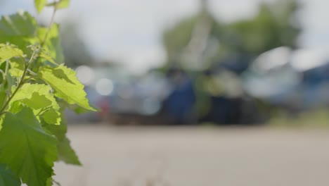 Drop-Dead-Schrottplatz-Limousine-Auto-Junk-Mit-Gürteln