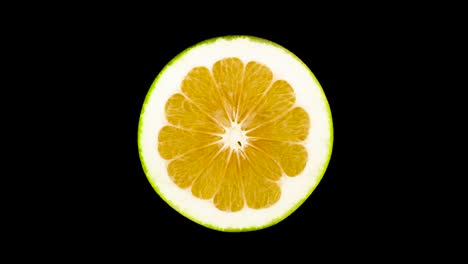 top view from above of green oroblanco fruit cross section cut. rotating. isolated on the black background. close-up. macro.