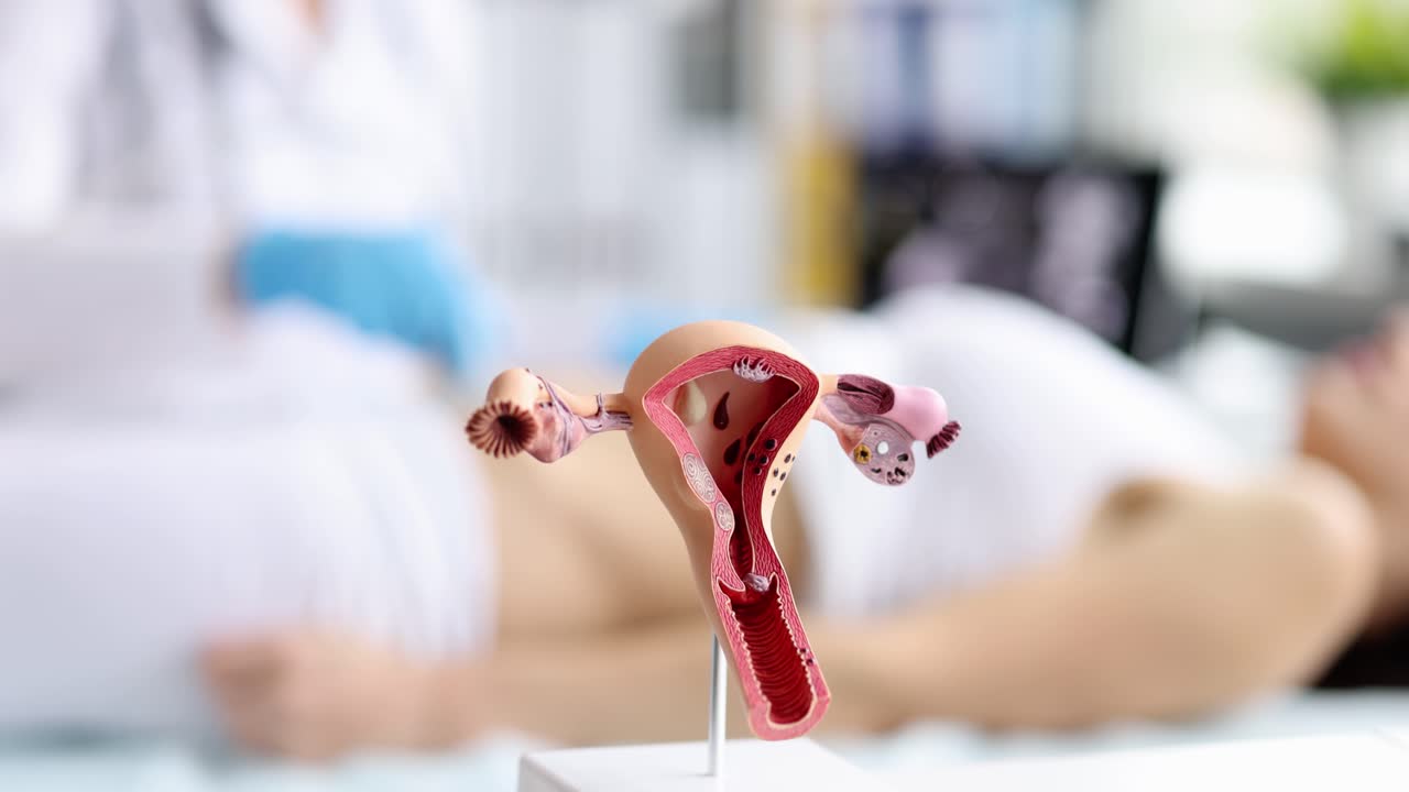 Mujer embarazada en ecografía en el hospital examinando el útero