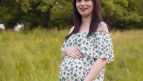 pregnant woman in a park