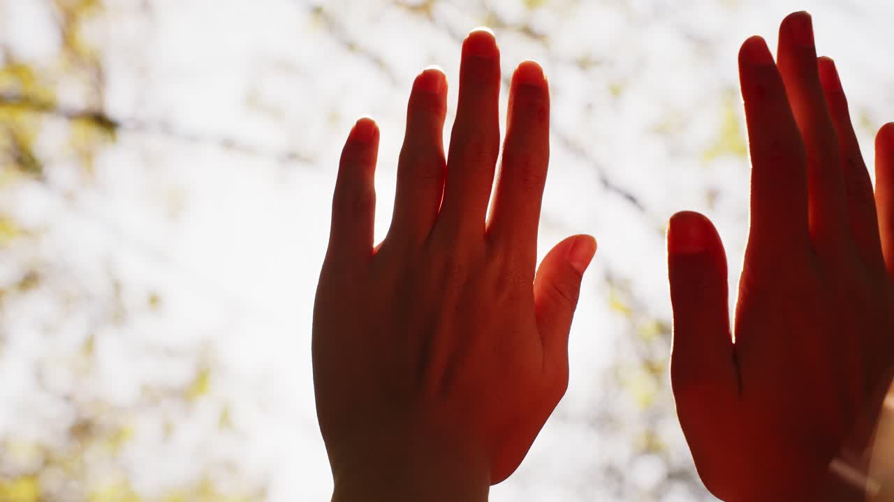 A Beautiful Dance of Hands: Capturing the Grace and Connection Between Human Figures under a Natural Backdrop of Light and Leaves
