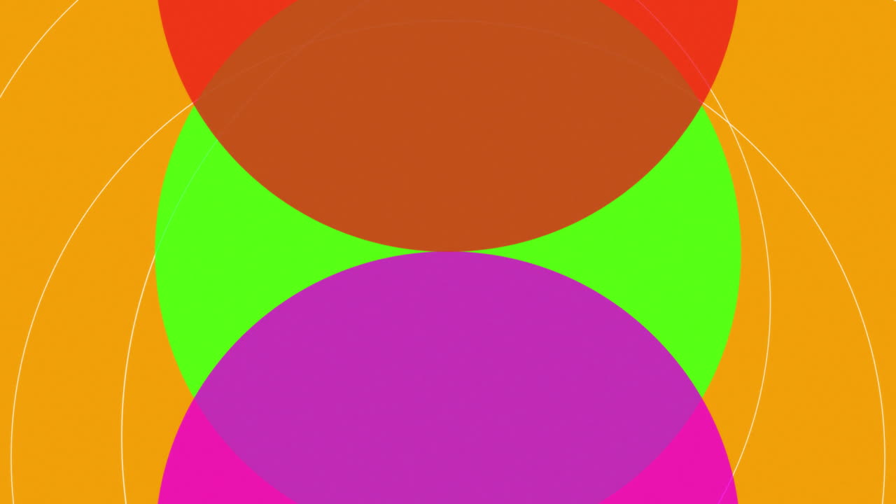 animación de las ruedas de color en fondo naranja