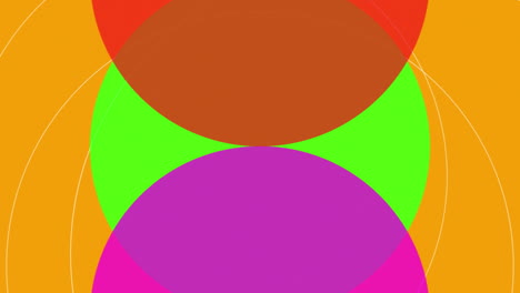 animación de las ruedas de color en fondo naranja