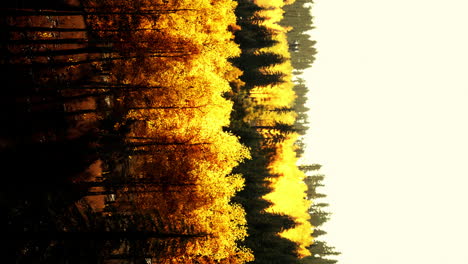 vista vertical de las montañas nubladas