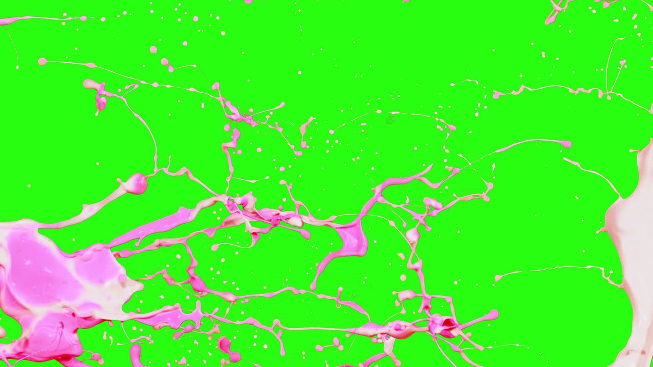 양쪽에서 어지는 페인트: 분홍색과 보라색 페인트 흐름은 녹색 스크린에서 고립 된 4k입니다.