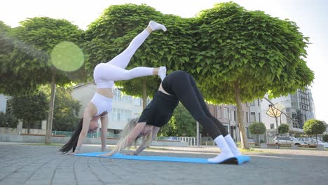 yoga in the park two young women doing balancing pose during sunrise outdoor yoga classes yoga in the park two young women doing balancing pose during sunrise outdoor yoga classes