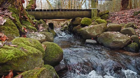 Der-Fluss-Im-Herbstwald-Und-Die-Sonne,-Die-Durch-Das-Laub-Scheint