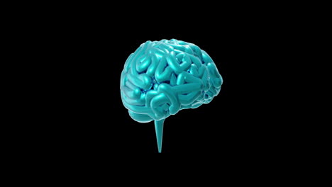 Animation-of-blue-human-brain-spinning-on-black-background