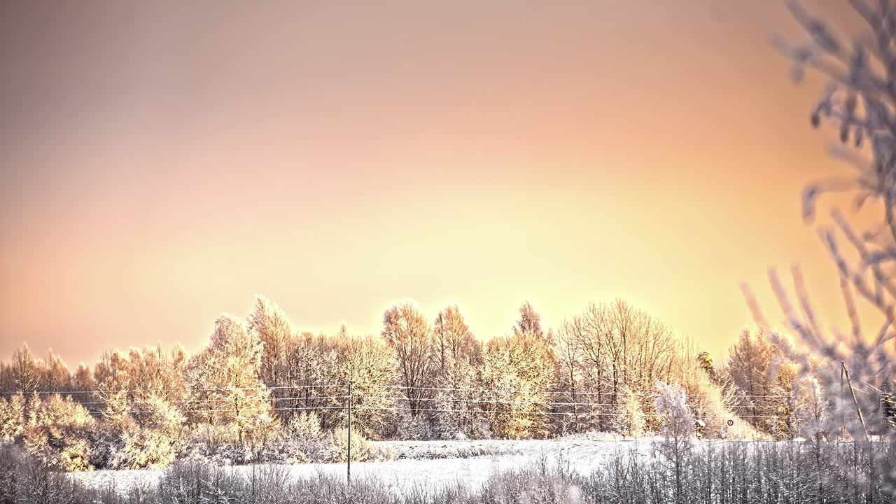 하 겨울 숲 위의 해가 지거나 해가 뜨는 빛, 시간 지연