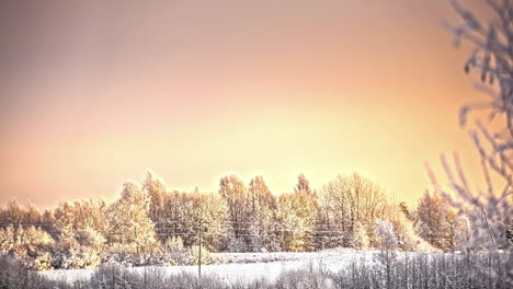 Resplandor-Del-Atardecer-O-Del-Amanecer-Sobre-El-Bosque-Blanco-De-Invierno,-Lapso-De-Tiempo