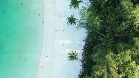 tropical-forest-on-a-desert-island,-perfect-beach-with-white-sand-and-crystal-clear-seawater-Philippines