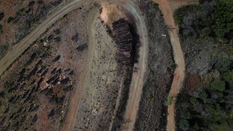 Piles-of-logs-for-logging-industry,-aerial-top-down-ascend-view