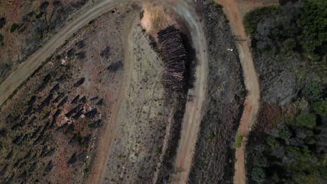 pilas de troncos para la industria maderera, vista aérea de arriba hacia abajo ascendente