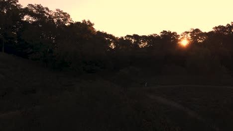 Sun-peeking-through-trees-at-Dune-Forest