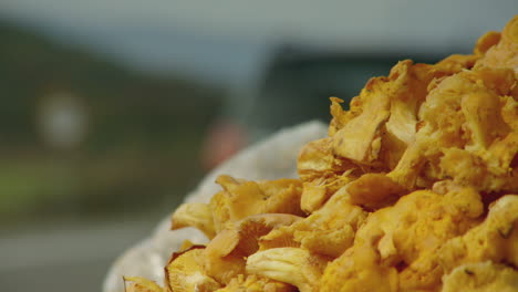 Roadside-sellers-extreme-close-up-chanterelle-mushrooms-on-the-side-of-a-road