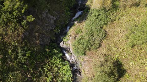 Drohnenansicht-Des-Baches,-Der-Durch-Den-Berg-Fließt,-Wasser-Im-Grünen