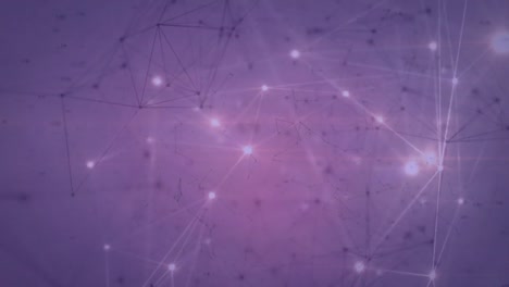 animación de la red de conexiones con luz brillante sobre fondo púrpura