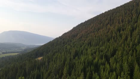 Ein-Steiler-Und-Hoher-Berghang,-Der-Von-Einem-Dichten-Blätterdach-Aus-Nadelbäumen-In-Der-Nördlichen-Okanagan-Region-Bedeckt-Ist