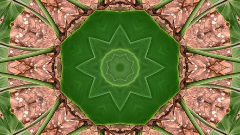 caléidoscopio