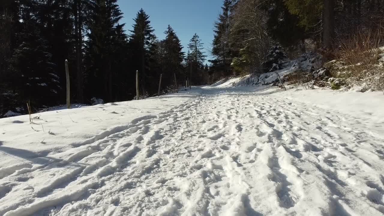 무인 항공기는 겨울에 숲에서 지상의 눈 바로 위에 날아갑니다.