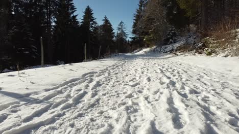 Drone-flies-just-above-the-snow-on-the-ground-in-a-forest-in-winter