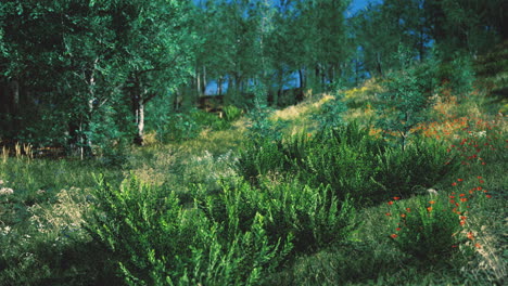 lush green landscape with vibrant wildflowers under bright blue sky