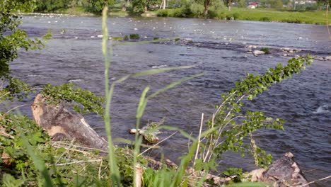 beautiful river water stream landscape. string river stream. fast water flowing