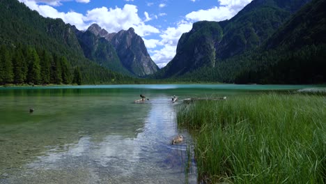 Lake-Dobbiaco-in-the-Dolomites,-Italy